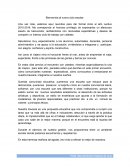 A que se debe la Bienvenida al nuevo ciclo escolar