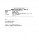 Ensayo 1 trabajo velasco