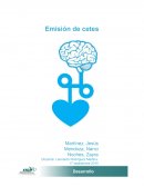 Emisión de cetes