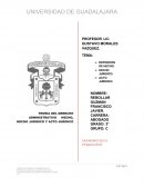 CUALES SON LOS ACTOS JURIDICOS Y MATERIALES