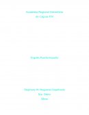 Orgullo puertorriqueno