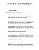 Ejemplo de un Plan de Marketing