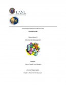 Cuales son las Matematicas