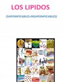 PRIMERAMENTE A DIOS POR HABERME PERMITIDO LLEGAR HASTA ESTE PUNTO Y HABERME DADO SALUD, SER EL MANANTIAL DE VIDA Y DARME LO NECESARIO PARA SEGUIR ADELANTE DÍA A DÍA PARA LOGRAR MIS OBJETIVOS, ADEMÁS DE SU INFINITA BONDAD Y AMOR.