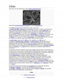 Para otros usos de este término, véase Célula (desambiguación).