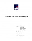 Desarrollo cerebral en la primera infancia