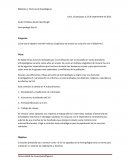 Reporte Instituto Lingüístico de Verano