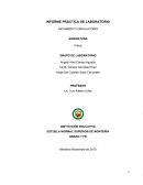 El nuevo INFORME LABORATORIO FÍSICA MOVIMIENTO ONDULATORIO