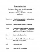 Estudio de campo sobre la incidencia de los préstamos lingüísticos anglófonos en el español dominicano
