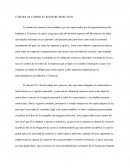 CAMARA DE COMERCIO REGISTRO MERCANTIL