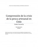 Pescadres artesanales y conflicto socioambiental, caleta cavancha