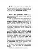 EL NUEVO Auto de Primera vista