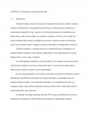 CAPÍTULO 1: Introducción y Descripción del Plan