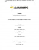 Cuales son las Nociones conceptuales del modelo de formación ciudadana y sus fases.