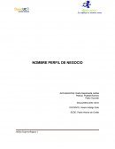 Perfil de negocio y su avanze corporativo