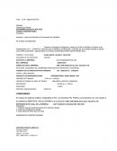 EJEMPLO DE FORMATO PLAZA VEA