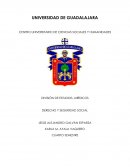 DESARROLLO DE EL DERECHO DE LA SEGURIDAD SOCIAL