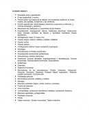 Porción axial: los huesos de la cabeza, los huesecillos auditivos, el hueso hioides, las costillas, el esternón y las vértebras.