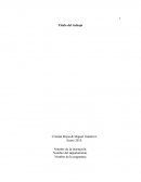 Aplicaciones gestión de la informacion