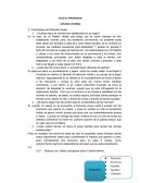 ¿Cuántos tipos de normas han establecido en su hogar?