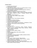 Anatomia Porción axial: los huesos de la cabeza, los huesecillos auditivos, el hueso hioides, las costillas, el esternón y las vértebras.