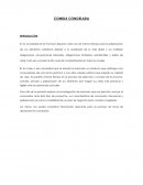 COMIDA CONGELADA - INTRODUCCIÓN