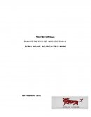 PLAN ESTRATEICO DE MERCADOTECNIA: