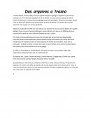 Dos arquivos do trasno