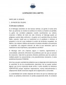 Cual es el Liderazgo sin Límites resumen