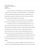 Diagnostico 1er año