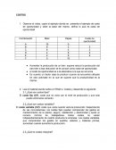 Costos. Trabajo Individual