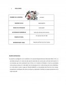 Indice del financiamiento