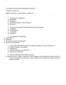 Como son las Actividades de nivelacion
