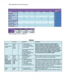 Dieto Calculo dieta South Beach