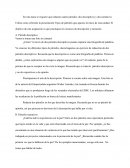 Descripcion y Narracion