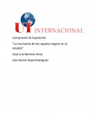 Desarrollo de La muchacha de los zapatos negros en el estadio