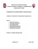 CUALES SON LOS FUNDAMENTOS DE COMPORTAMIENTO ORGANIZACIONAL