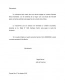 Comunicacion Organizacional