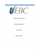 CUAL SERIA LA IMPORTANCIA DEL INFORME DEL AUDITOR EN LA ACTUALIDAD Y EL FUTURO DEL MISMO EN LOS PRÓXIMOS 10 AÑOS.