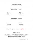 Análisis de Dupont