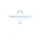 Curriculo
