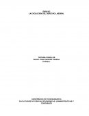 El nuevo Proceso de fabricación de un producto