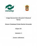 Porque es importante cuidar el medio ambiente?