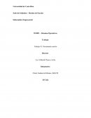 APO Administracion por Objetivos