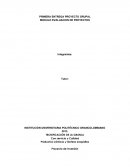 PROYECTO DE INVERSION