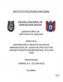SEPARACIÓN E IDENTIFICACIÓN DE AMINOÁCIDOS DE JUGOS DE FRUTOS POR CROMATOGRAFÍA BIDIMENSIONAL EN CAPA FINA