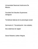 Socializacion
