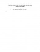 La gran Reserva de horco molle