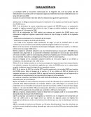 EVALUACION IVA