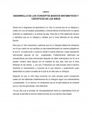 Desarrollo de los conceptos matematicos